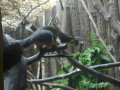 IMGP0865.JPG